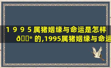 １９９５属猪姻缘与命运是怎样 💮 的,1995属猪姻缘与命运是 🐱 怎样的